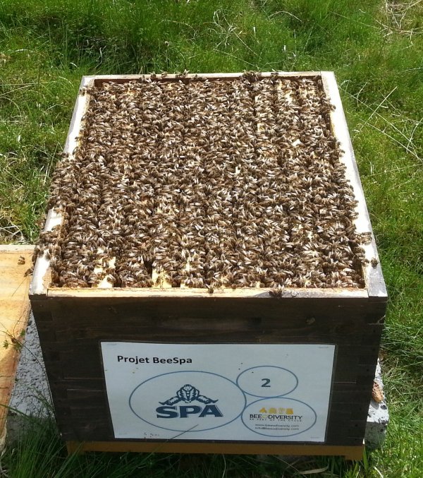 la biodiversité donne la vie