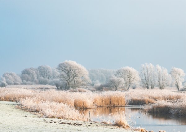eau aromatisee hiver